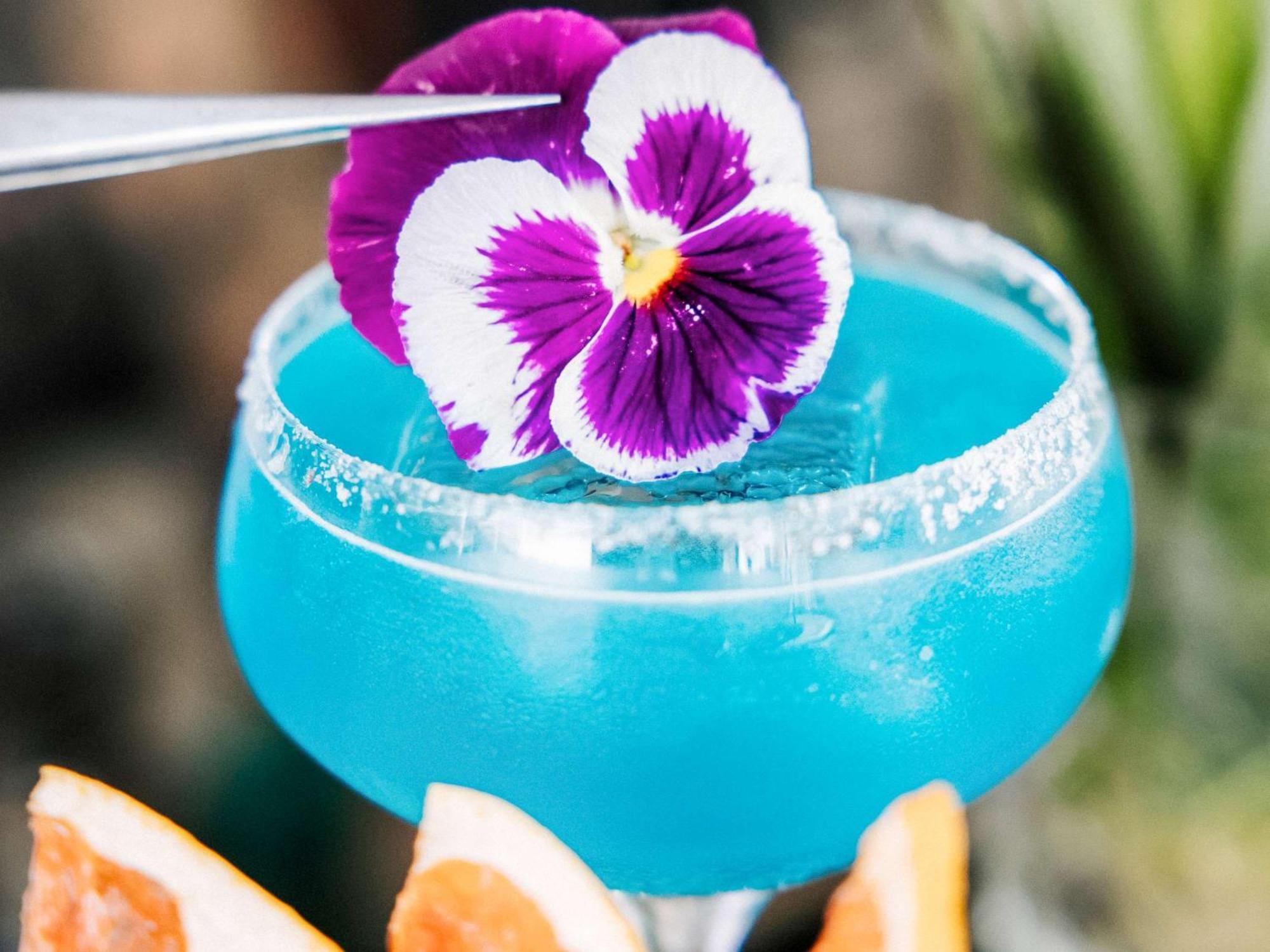 蒙德里安酒店